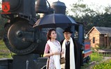 Cánh đồng cải vàng, điểm 